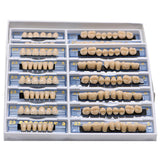 168 pieces/6sets /box Dental Synthetic Polymer Teeth Full Set Resin Denture Dental Teeth Color A2 A3 Size 23 Dentist Materials
