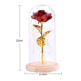 Gold-Plated Rose With Led Light In Glass Dome For Wedding Party Mother'S Day Gift