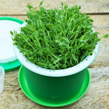 Household Bean Sprouts Making Pot Bean Sprouts Cans Sprouts Planting Barrels High Quality Bean Sprouts Breeding Pot