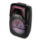 Shinco Portable PA Speaker System DJ Light Powerful Karaoke Speaker with Wireless Microphone Audio High Power System for Party