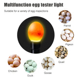 9 Egg Inccubator Hatchery Mini Digital Temperature Brooder Farm Brooder Quail Egg Hatcher Incubator Equipment Children Gift