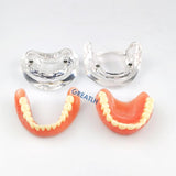 Dental Teaching Model Complete Denture Dental Teeth Standard Teeth Model