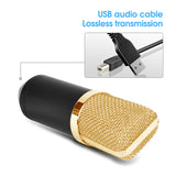 Professional BM700 USB Microphone Home Stereo Sound Recording Condenser PC Microphone for Party Online Meeting Karaoke Vocal mic