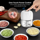 100Ml Mini Electric Garlic Food Vegetable Chopper Squeezer Meat Grinder Chili Meat Masher Machine Garlic Artifact