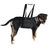 Popular Dog Carrying And Pet Assisting With Protection Belt adjustable Harness Set Leash Soft carrier accessories supplies soft