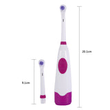 4Colors Waterproof Dental Care Rotary Teeth Whitening Antibacterial Brush Hair Electric Toothbrush With 2Replaceable Brush Heads