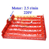 220V/110V/DC 12V Incubator Turn eggs tray Chicken Duck Goose Birds Compound Automatic incubator tray 41.7 x 43 cm