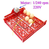 20 Egg Incubator Turn Eggs Tray Eggtester Automatic Incubator Controller Experimental Teaching Equipment