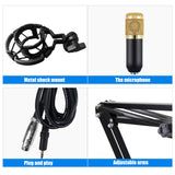 Microphone Recording Studio Broadcast Recording Condenser Microphone With Frame And USB Connector Microphones