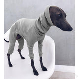 Spring Greyhound dog clothes thin high-neck four-legged clothes, solid color stretch comfortable dog clothes Italian Greyhound