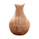 HAEGER-USB Nano Large Spray Creative Small Vase Humidifier 130ML Ultrasonic Air Humidifier Aroma Essential Oil Diffuser