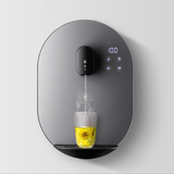 220V Pipeline Machine Wall-Mounted Instant Warm Water Dispenser Small Gutsless Fast Hot Household Water Dispenser