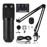 Professional Microphone XLR Wired Handheld Mic Vocals Recording Studio Condenser Microphone for Gaming PC Karaoke Portable Mic