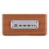 Karaoke Speaker Microphone Wireless Portable High Power LED Lights Rechargeable Support BT/USB Play for Home Family BBQ