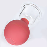 1 Set of 4pcs Vacuum Cupping Cups Back Body Massager Household Suction Vacuum Can (Brown)