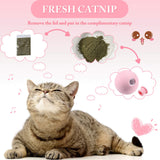 3 Pcs Simulation Sound Cat Ball Toys for Cats Pet Interactive Catnip Funny Toy Selfplaying  Kitten Toy Training Supplies for Cat