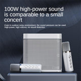 Ys203 100w High-Power Wireless Portable Microphone Bluetooth-Compatible Speaker Outdoor Family Party Karaoke Box Subwoofer