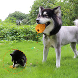 Dog Chew Toys for Aggressive Chewer, Tough Dog Dental Chews Toy, Indestructible Dog Toys for Large Dogs， Puppy Chew Toys