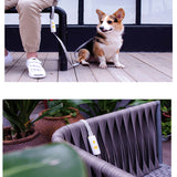 Reflective Dog Leash Nylon Dog Cat Lead Puppy Traction Rope Belt Elastic Dog Leash for Small Medium Dogs Pet Supplies