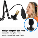 Microphone Recording Studio Broadcast Recording Condenser Microphone With Frame And USB Connector Microphones