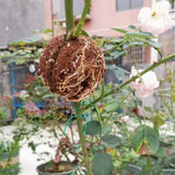 15x Plant Rooting Device Propagators Plant Propagator Assisted Rooting Box & 1 Roll 0.5mm 500G Stainless Steel Wire