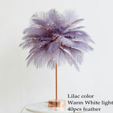 DIY Creative Feather Table Lamp Warm White Light Tree Feather Lampshade Girl LED Wedding Decorative Lights Pink White Birthday