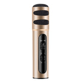 Musical Microphone Portable Handheld Karaoke Mic Speaker Machine for Christmas Birthday Home Party Golden