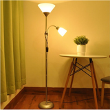 Floor lamp double head adjustable vertical table lamp picture mother lamp living room study bedside lamp LED eye protection lamp