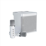 Ys203 100w High-Power Wireless Portable Microphone Bluetooth-Compatible Speaker Outdoor Family Party Karaoke Box Subwoofer