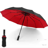 Windproof Double Automatic Folding Umbrella Female Male 12 Bone Car Luxury Large Business Umbrellas Men Rain Women Gift Parasol