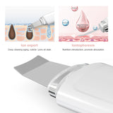 Ultrasonic Skin Scrubber Nano Ion  Cleaner Face Lifting Peeling Extractor Deep Cleaning Beauty Device + Facial Steamer Sprayer
